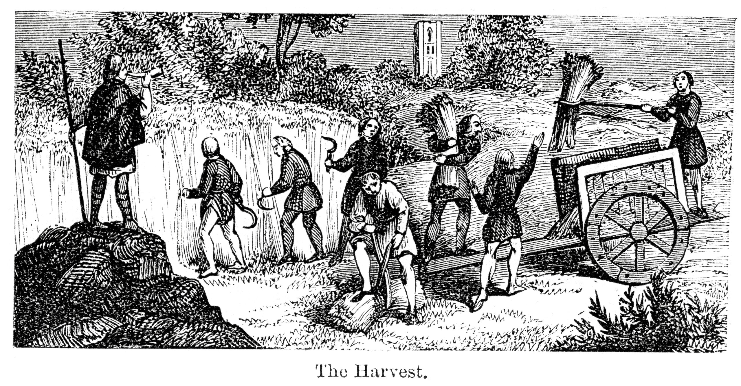 Vintage engraving of medieval farm workers bring in the harvest