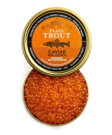 Plaza Trout Roe