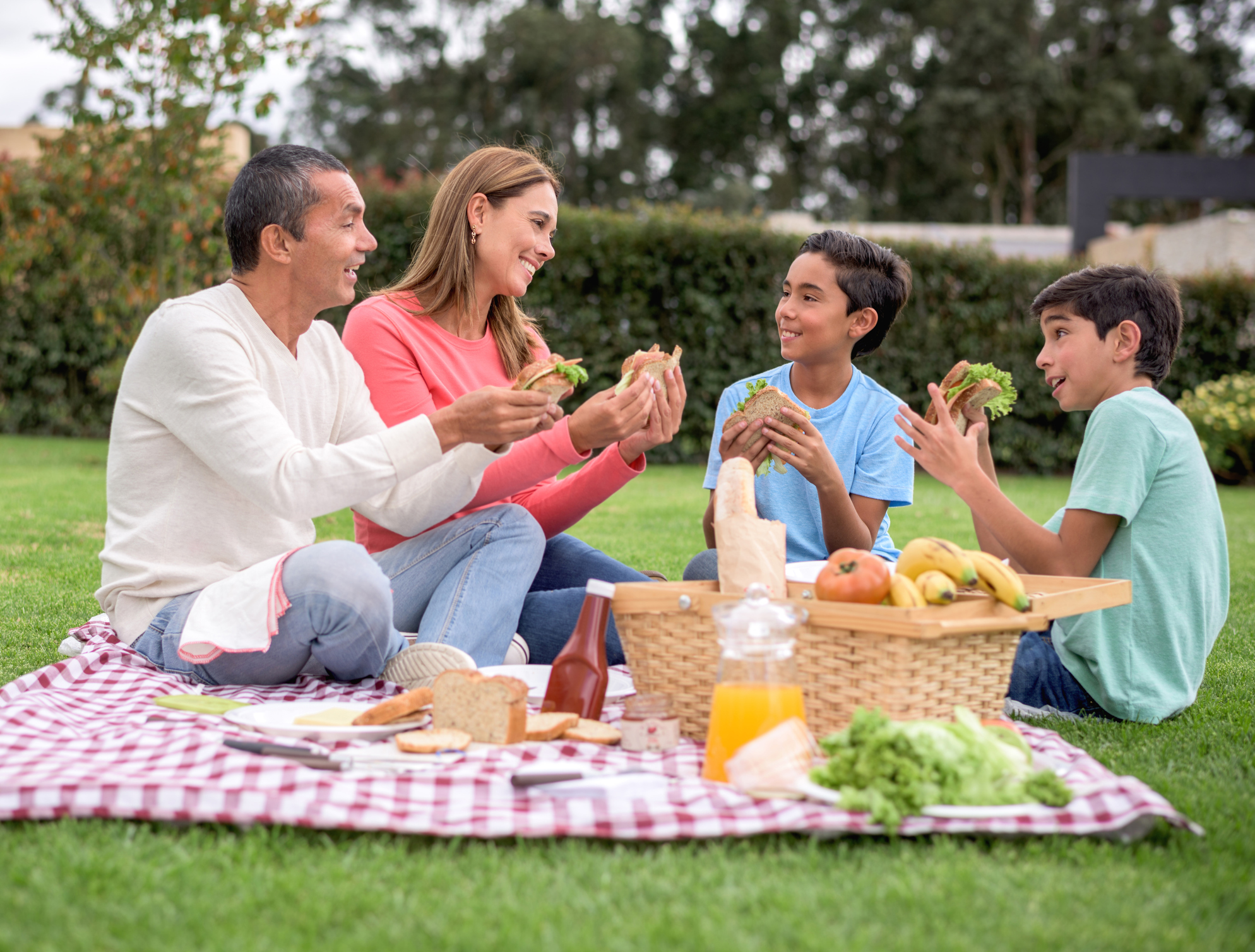 Summer Picnic Planning