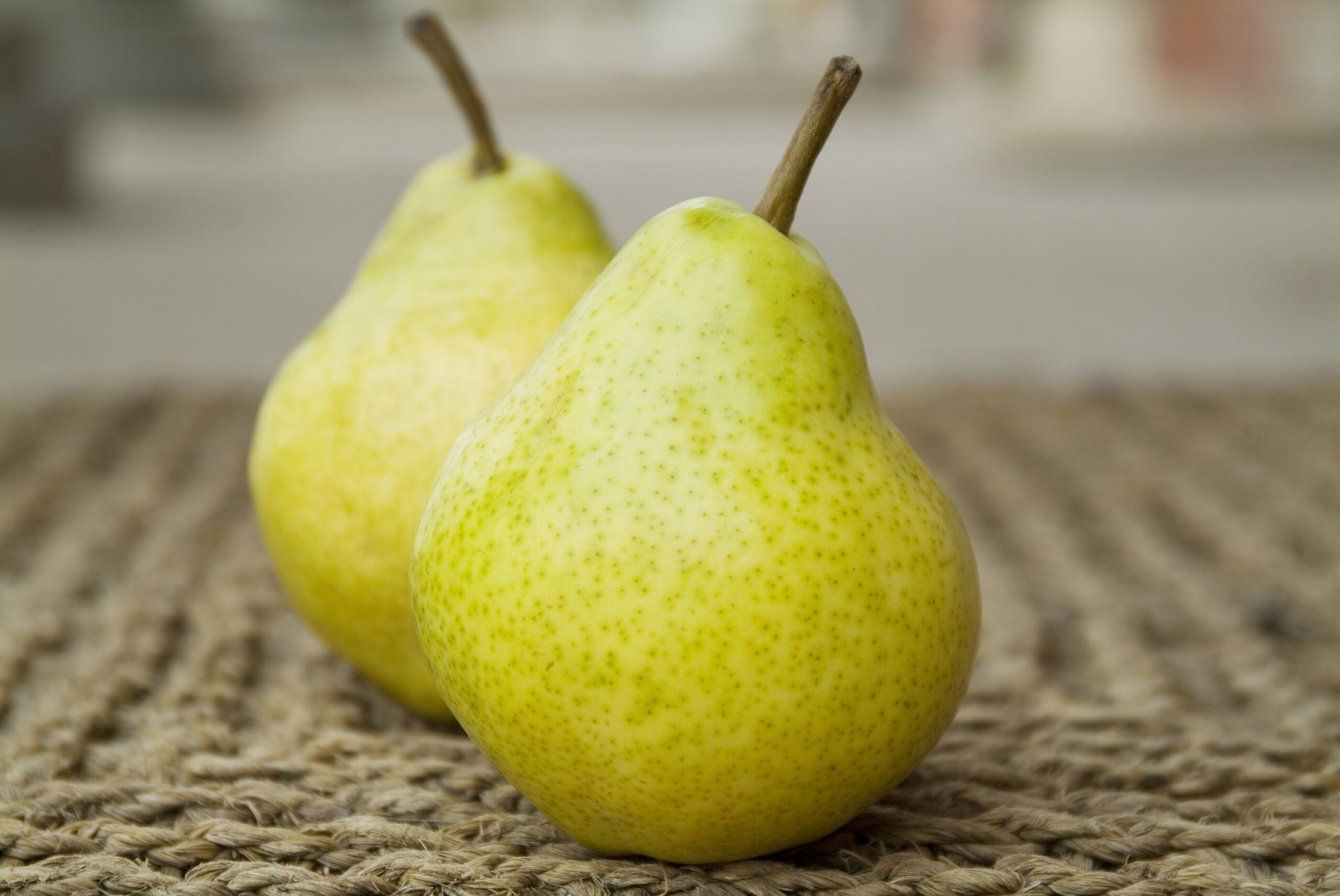 d'anjou pears